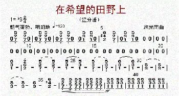 在希望的田野上_歌曲简谱_词曲: 李国林配器