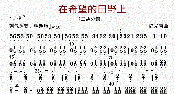 在希望的田野上_歌曲简谱_词曲: 李国林配器