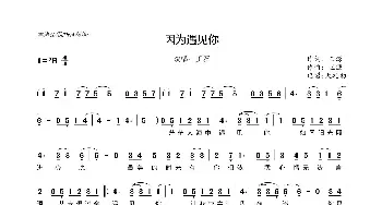 因为遇见你_歌曲简谱_词曲:王源 王源