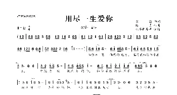 ​用尽一生爱你_歌曲简谱_词曲:梁涵 路勇