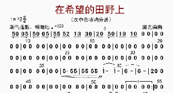 在希望的田野上_歌曲简谱_词曲: 李国林配器