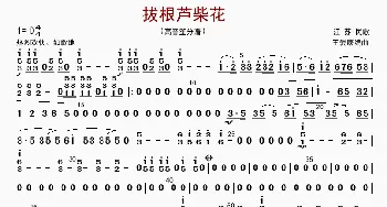 拔根芦柴花_歌曲简谱_词曲: 王爱康编曲