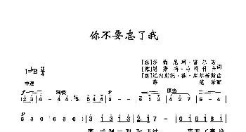 你不要忘了我_歌曲简谱_词曲:[意]多梅尼柯·富尔诺 [意]恩斯特·马利什卡 [意]厄内斯托·德·库尔蒂斯