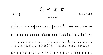 真心爱你_歌曲简谱_词曲:铁木元甲 铁木元甲