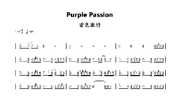 Purple Passion_歌曲简谱_词曲: