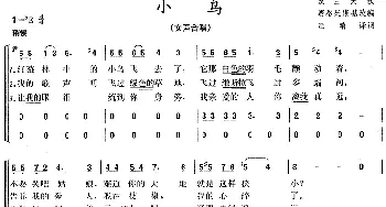 [波]小鸟_歌曲简谱_词曲:[波]民间歌词 [波]塔·塞格廷斯基