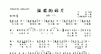 温柔的碎片_歌曲简谱_词曲:伊宁 株株