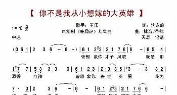 你不是我从小想嫁的大英雄_歌曲简谱_词曲:沈永峰 林海、范炜