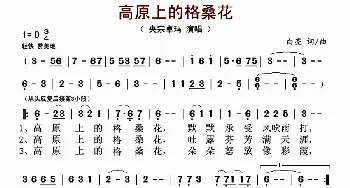 高原上的格桑花_歌曲简谱_词曲:白亮 白亮