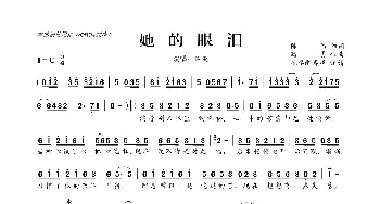 ​她的眼泪_歌曲简谱_词曲:陈伟 路勇