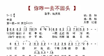 你咋一去不回头_歌曲简谱_词曲:高扬 高扬