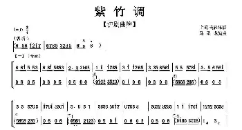 紫竹调_歌曲简谱_词曲: 上海民族乐队 马圣龙