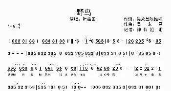 野鸟_歌谱投稿_词曲: