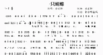 一只蝴蝶_歌谱投稿_词曲:安东阳 安东阳