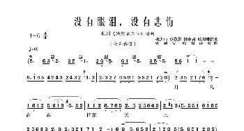 没有眼泪，没有悲伤_歌谱投稿_词曲:梅少山、张敬安、梅会召、欧阳谦叔 张敬安、欧阳谦叔