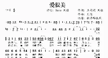 爱很美_歌谱投稿_词曲:王韵韵、刘佳 刘佳