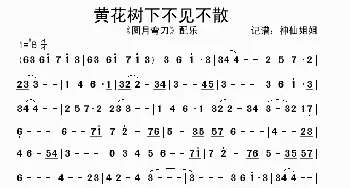 黄花树下不见不散 _歌谱投稿_词曲: