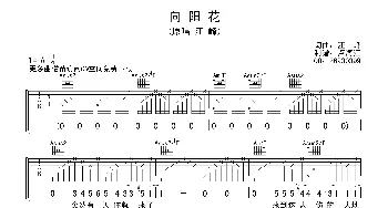 向阳花_歌谱投稿_词曲:汪峰 汪峰