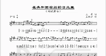 在共和国检阅的目光里_歌谱投稿_词曲:王磊 王和声