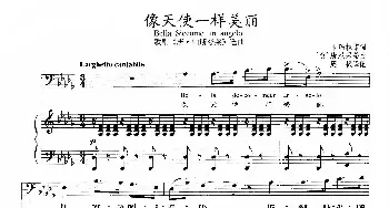 像天使一样美丽_歌谱投稿_词曲:卡玛拉诺 [意]唐尼采蒂