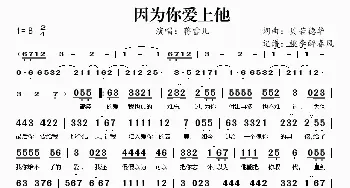 因为你爱上他_歌谱投稿_词曲:贝若德华 贝若德华