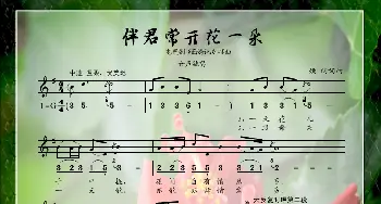 伴君常开花一朵_歌谱投稿_词曲:姚明 姚明