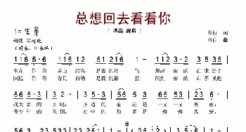 总想回去看看你_歌谱投稿_词曲:车行 肖白