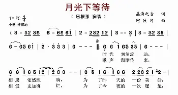 月光下等待_歌谱投稿_词曲:晶海之音 阿汝汗