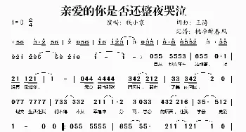 亲爱的你是否还整夜哭泣_歌谱投稿_词曲:王涛 王涛