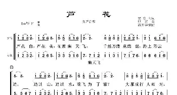 芦花_合唱歌谱_词曲:贺东久 印青曲、高开华编合唱