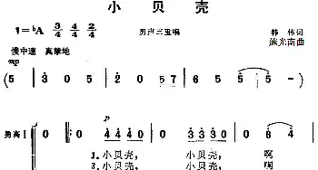 小贝壳_合唱歌谱_词曲:韩伟 施光南