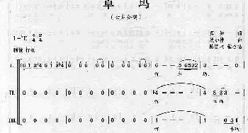 卓玛_合唱歌谱_词曲:真知 秋加措曲、陈国权编合唱