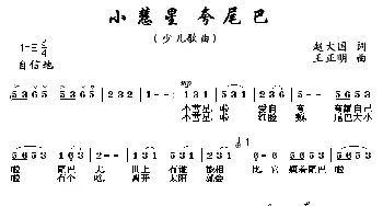 小慧星，夸尾巴_儿歌乐谱_词曲:赵大国 王正明