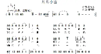 片片小雪_通俗唱法乐谱_词曲:呙定杰 谢铁跃