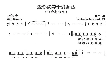 爱你就等于爱自己_通俗唱法乐谱_词曲:林夕