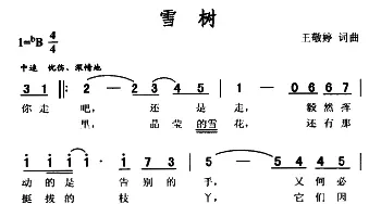 雪树_通俗唱法乐谱_词曲:王敬婷 王敬婷