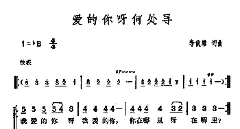 爱的你呀何处寻_通俗唱法乐谱_词曲:李俊雄 李俊雄