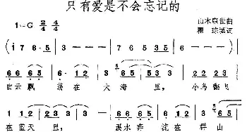 只有爱是不会忘记的_通俗唱法乐谱_词曲:瞿琮 山木康世