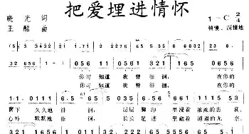 把爱埋进情怀_通俗唱法乐谱_词曲:晓光 王酩