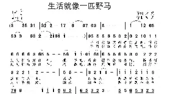 生活就像一匹野马_通俗唱法乐谱_词曲:天夏 南风