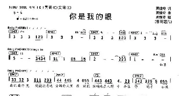 你是我的眼_通俗唱法乐谱_词曲:萧煌奇 萧煌奇