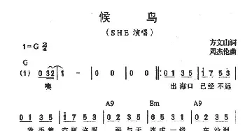 候鸟_通俗唱法乐谱_词曲:方文山 周杰伦