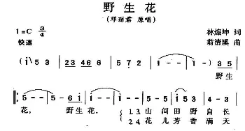 野生花_通俗唱法乐谱_词曲:林煌坤 翁清溪