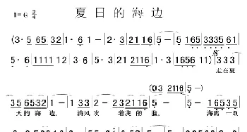 夏日的海边_通俗唱法乐谱_词曲: