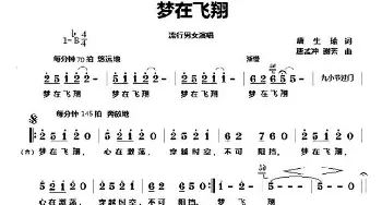 梦在飞翔_通俗唱法乐谱_词曲:唐生瑜 唐孟冲 谢芳