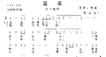 温柔_通俗唱法乐谱_词曲:宋斌 宋斌