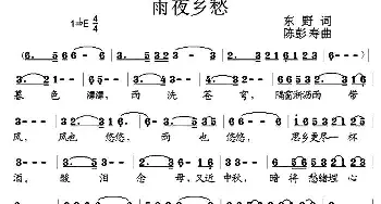 雨夜乡愁_通俗唱法乐谱_词曲:东野 陈彭寿