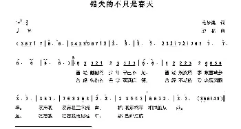 错失的不只是春天_通俗唱法乐谱_词曲:毛梦溪 熊黏