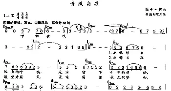 青藏高原_通俗唱法乐谱_词曲:张千一 张千一