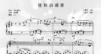 隐形的翅膀_通俗唱法乐谱_词曲:王雅君 王雅君